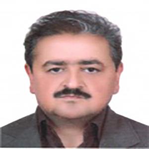 مجید جامی احمدی