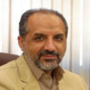 سید مهران نحوی