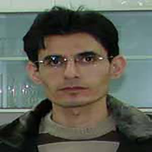 محمدعلی محمودی