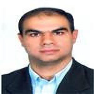 مهران میراولیایی