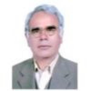 محمد لطفی