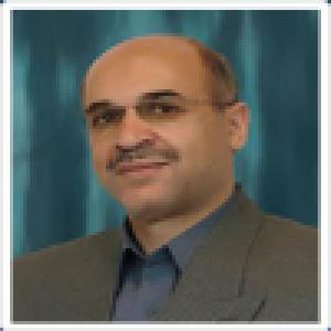 شمس الدین نیکنامی