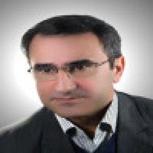 سید محمد سید محمودی