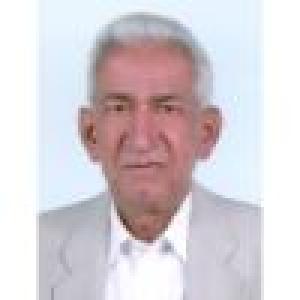 پرویز نوین