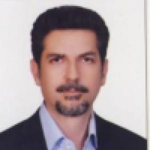 محمدرضا همامی