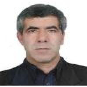 محمود فتوحی فیروزآباد