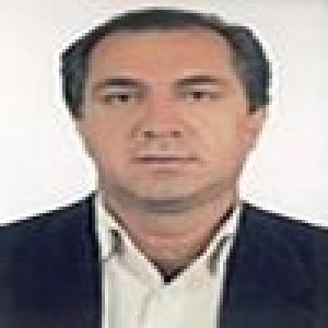 حمید گرمابی