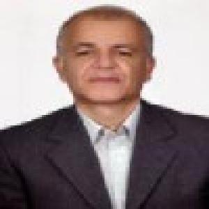 محمد مهدی برادرانی