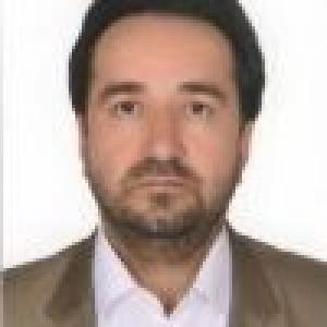 بهنام هادی