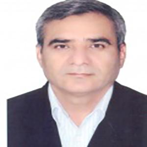 محمدحسین زرین کوب