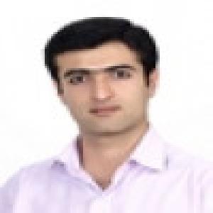 محمد ربیعی