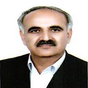 محمد قادر مزی