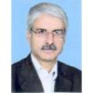حسین روح الامینی نژاد