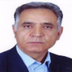 مرتضی زندرحیمی