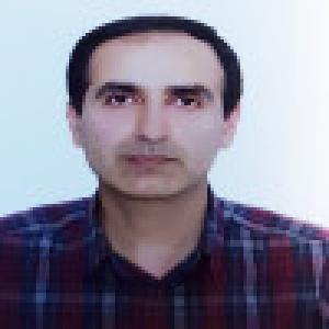 نوین نیک بخش ذاتی