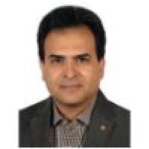 حمیدرضا مداح حسینی