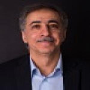 شاهرخ شاه حسینی