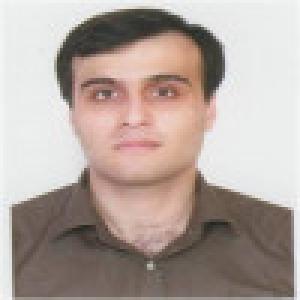 سیدمحمدتقی حمیدیان