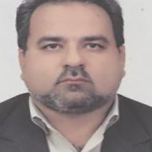 حسین فرزانه پور