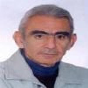 محمدرضا صفویه