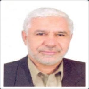 محسن محمدزاده درودی