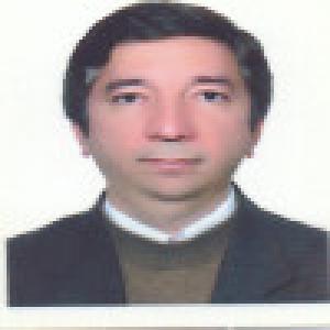 سید رضا سلامی