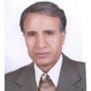 محمد حسن سعیدی