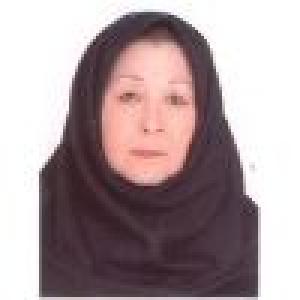 زیب النساء علیخان