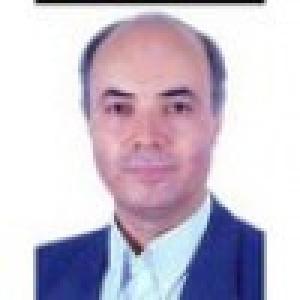 امی رضایی