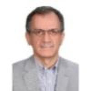 فیاض رحیم زاده رفویی