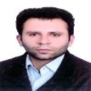 محمدرضا میراولیائی 
