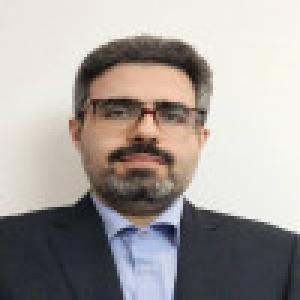 مجتبی محمود زاده