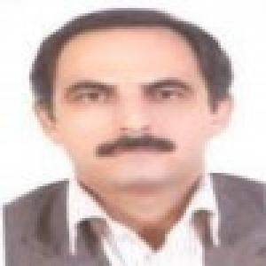 محمدامیر عبیدی نیا