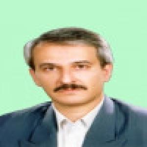 محمد شاه میری
