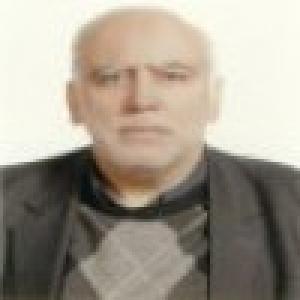 احمد برجعلی‌