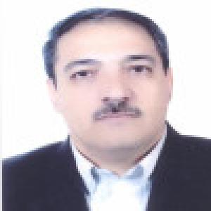 سید رضا حسن بیگی بیدگلی