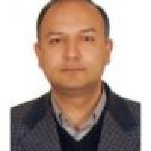 محمدرضا نامداری