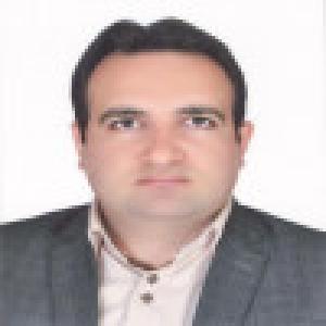 سید مهدی میر مهدی