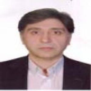 سید ابراهیم افجه ای