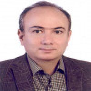 میرهادی سید عربی