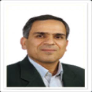 محمد حسینی