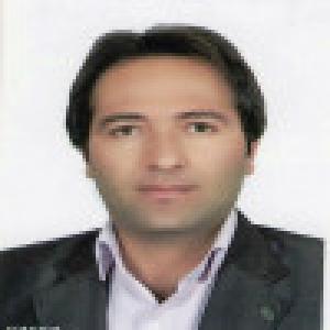 فردین شالویی