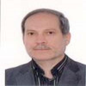محمدرضا حمیدی زاده