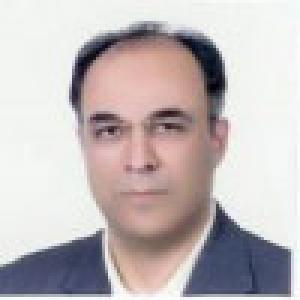 محمدحسین فتحی