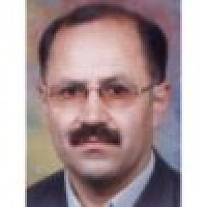 مهران حبیبی رضایی