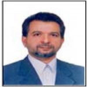 مهدی رضوی