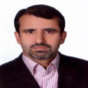 حسن رضایی باغ بیدی