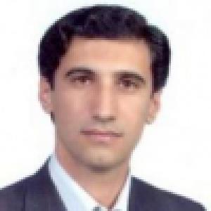 محسن سلیمانی