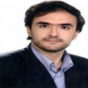 ناصر علیدوستی شهرکی