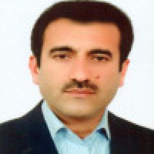 مسیب احمدی